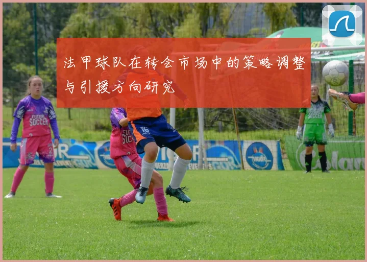 法甲球队在转会市场中的策略调整与引援方向研究